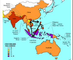 Sekilas Tentang Pajak Atas Triangel Trade