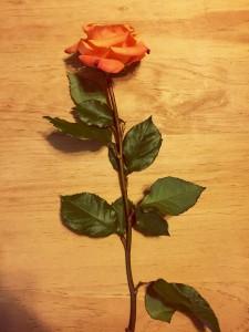 Processed with VSCOcam with t1 preset