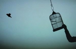 Free As a Bird