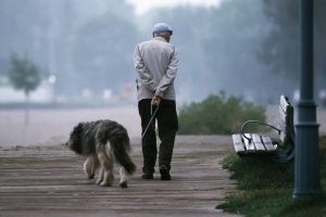The Old Man and The Dog